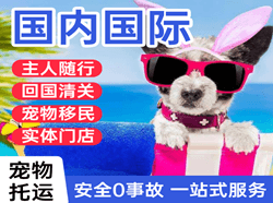 伊春航空运输国际宠物托运 【国